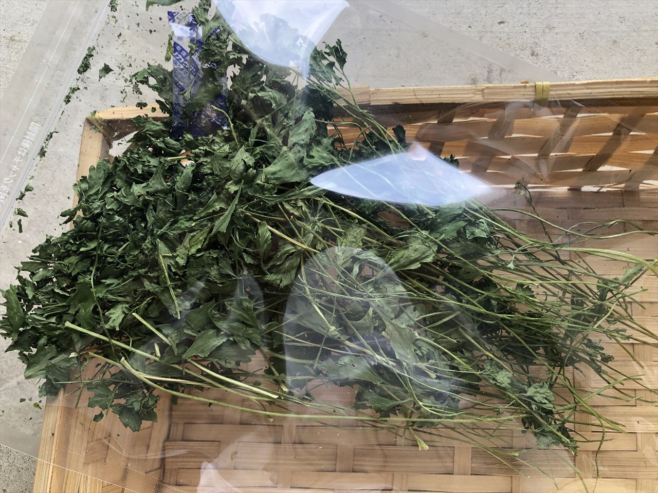 乾燥イタリアンパセリ