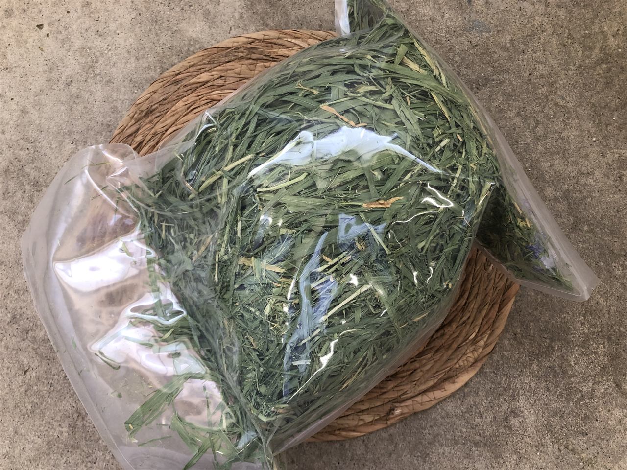 大麦若葉