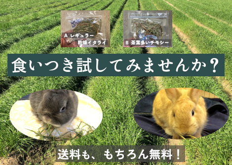 牧草試供品サンプル