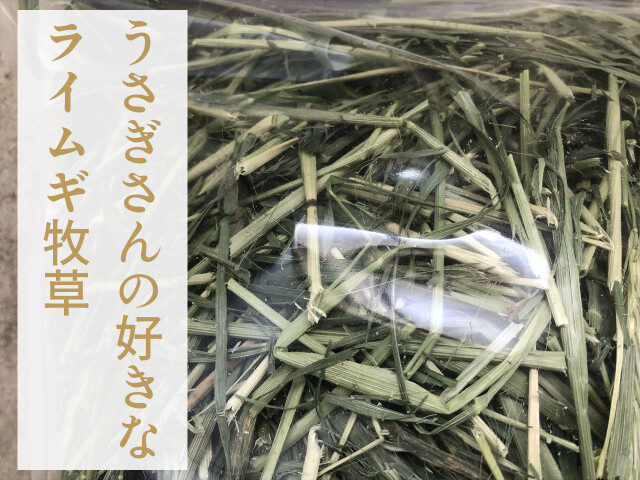 食べごたえのあるライムギ牧草