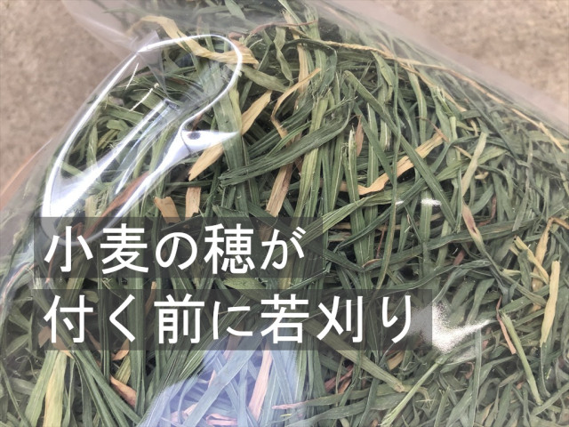 ウィートヘイ