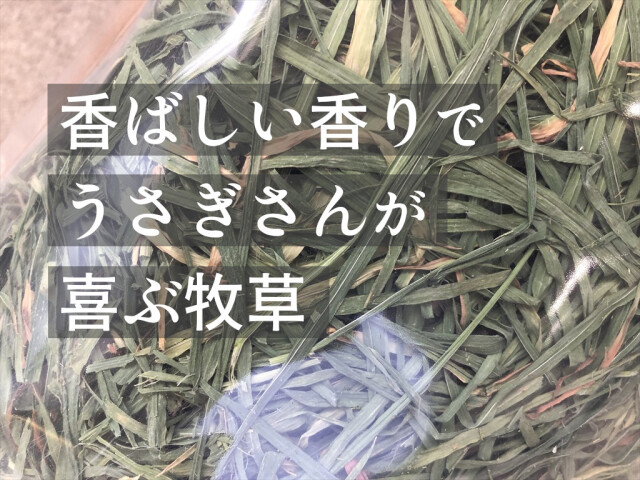 ウィートヘイ