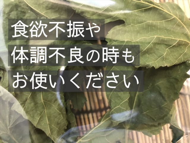 乾燥桑の葉