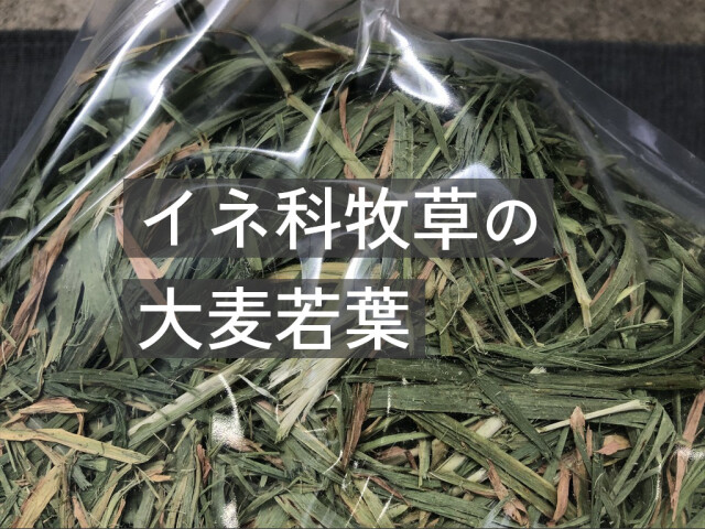 茶葉多い大麦若葉