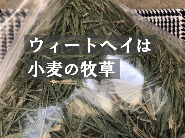 茶葉多いウィートヘイ