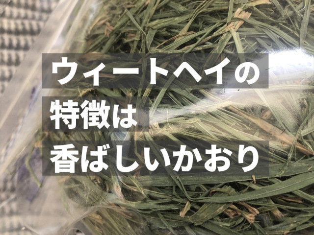 茶葉多いウィートヘイ