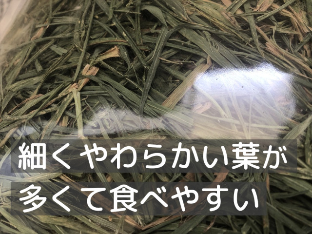 茶葉多いウィートヘイ