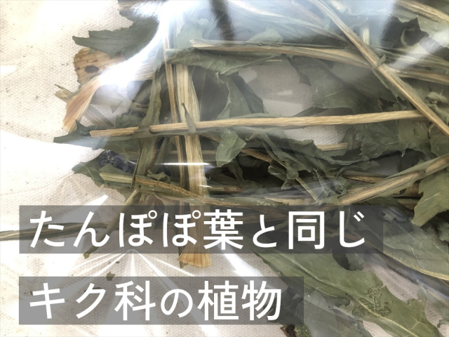 乾燥カタローニャ