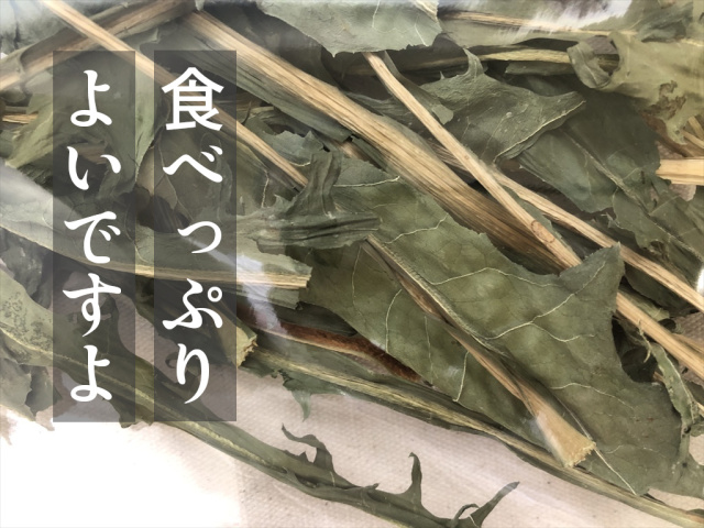 乾燥カタローニャ