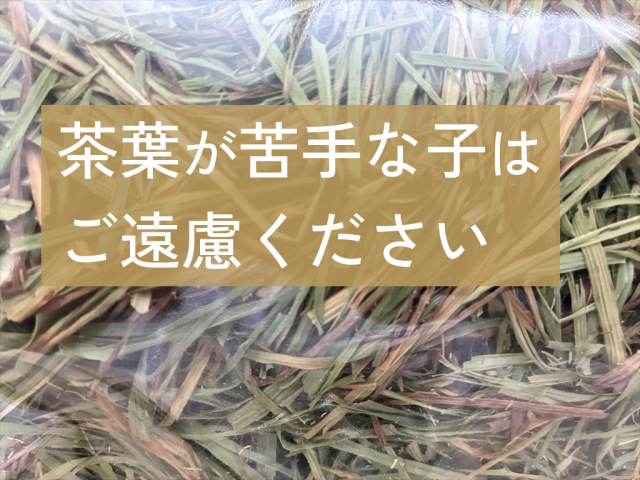 茶葉多いチモシー