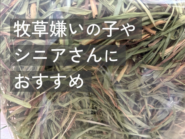 茶葉多いチモシー