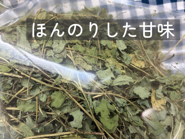 甘い香りのマメ科牧草エビスグサ