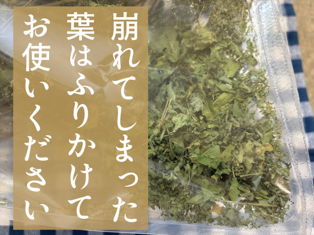 うさぎ畑エビスグサ牧草