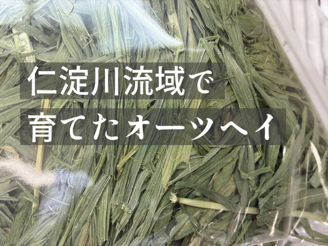 乳酸菌ラクト乾燥オーツヘイ