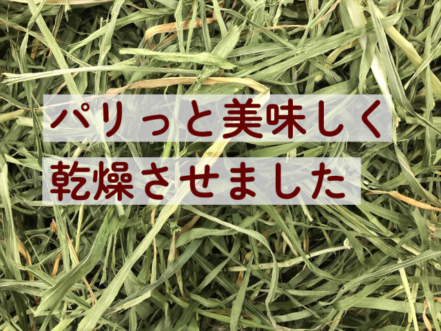 うさぎ畑 まるごと乾燥オーツヘイ うさぎ用牧草