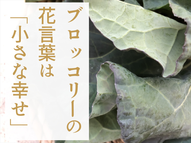ブロッコリー葉