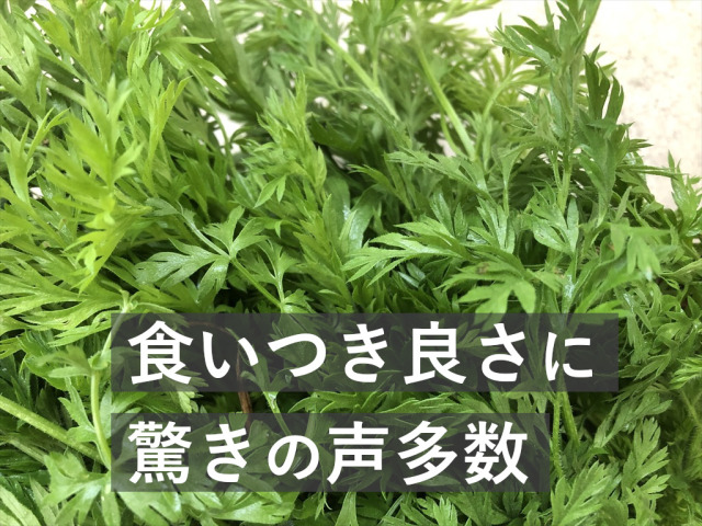 にんじん葉