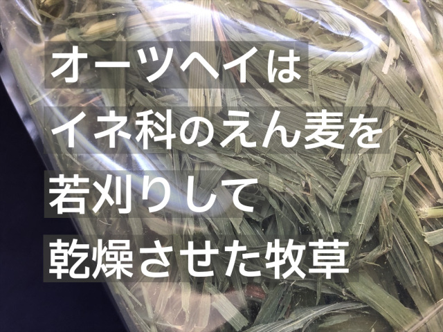 うさぎ畑 まるごと乾燥オーツヘイ うさぎ用牧草