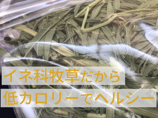うさぎ畑 まるごと乾燥オーツヘイ うさぎ用牧草