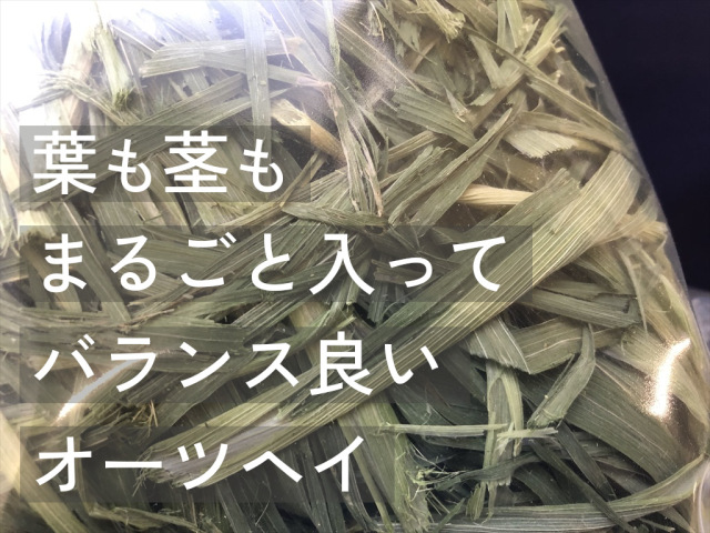 うさぎ畑 まるごと乾燥オーツヘイ うさぎ用牧草