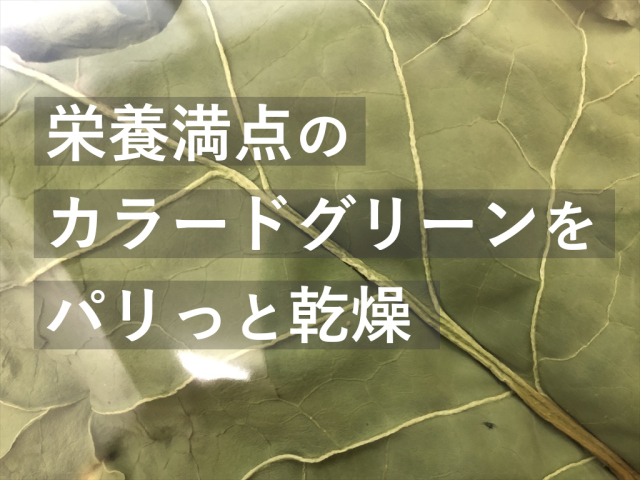 パリパリ食感の乾燥カラードグリーン 葉野菜おやつ