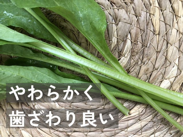 オータムポエム