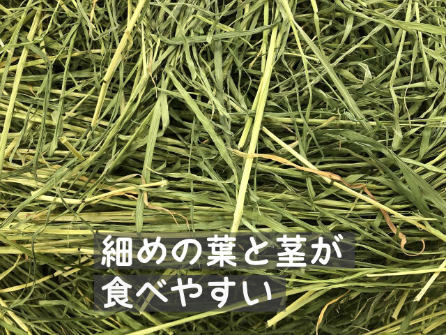 香りの良いライムギ牧草