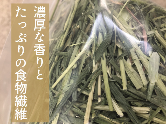 乾燥牧草ライムギ