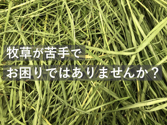 レギュラー乾燥イタライ