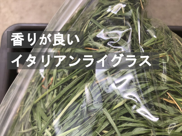 レギュラー乾燥イタライ