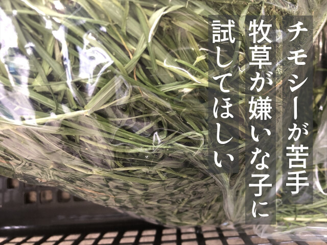 レギュラー乾燥イタリアンライグラス200g｜牧草が苦手なうさぎにも人気