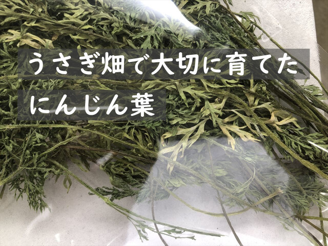 乾燥にんじん葉