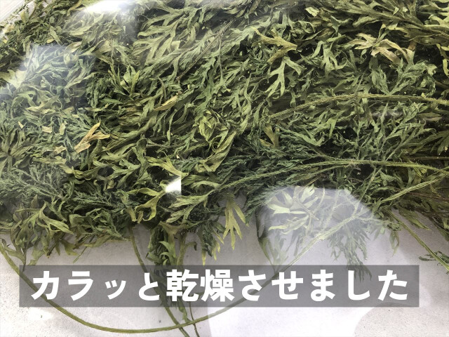 乾燥にんじん葉