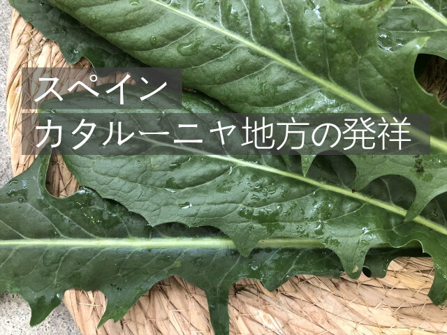 カタローニャ うさぎ用 生野菜