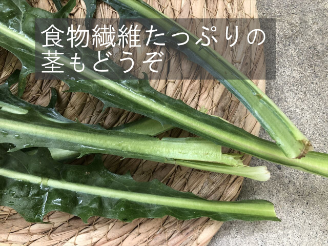 新鮮 カタローニャ うさぎ畑