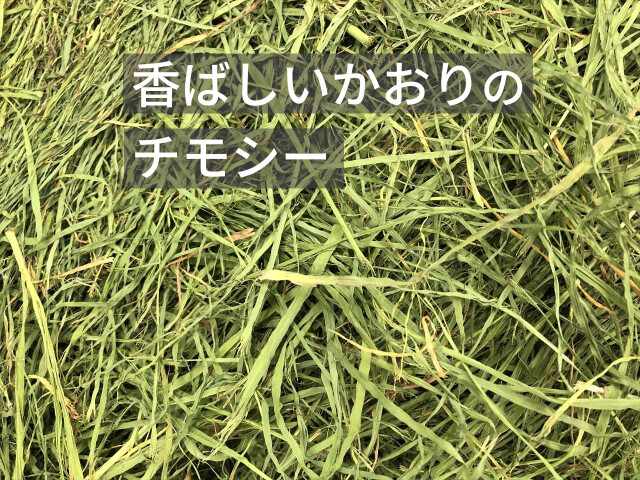 チモシー１番刈り