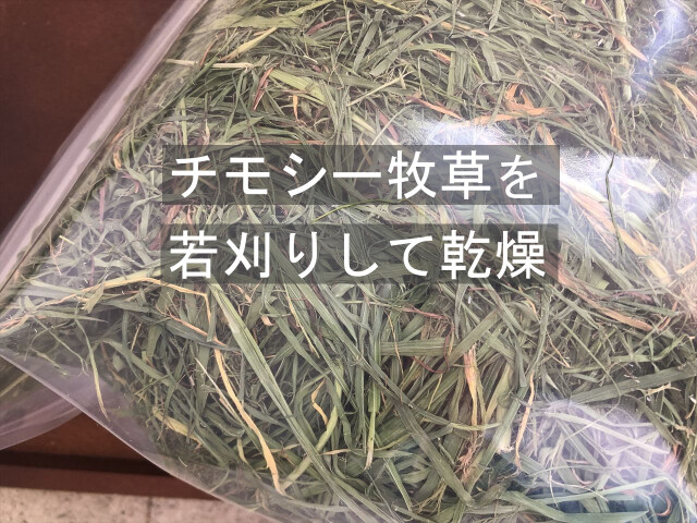 チモシー１番刈り