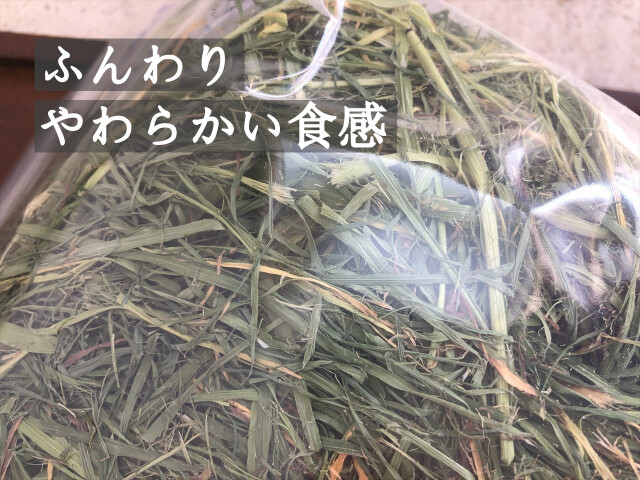 チモシー１番刈り