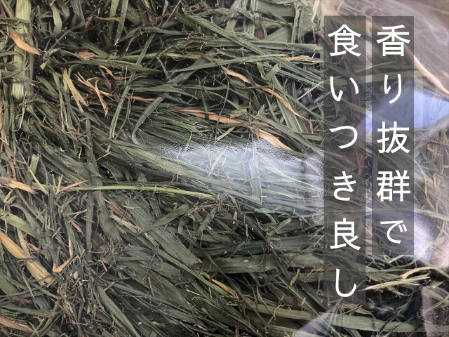 チモシー１番刈り