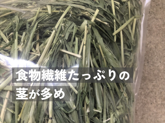 茎が多いライムギ牧草
