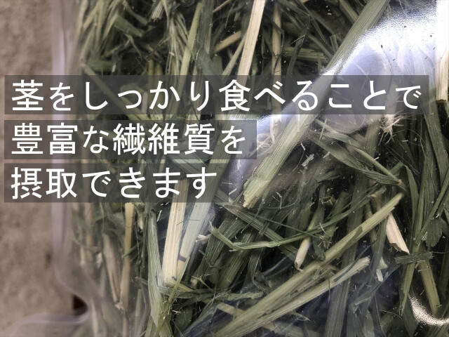うさぎ用牧草茎多めライムギ200g