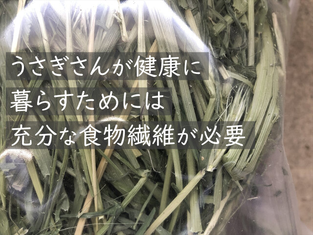 うさぎ畑茎多めライムギ牧草