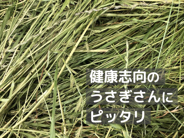 茎が多いイタリアンライグラス牧草