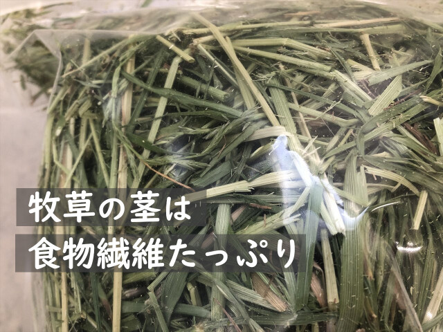 うんちが小さいうさぎに牧草