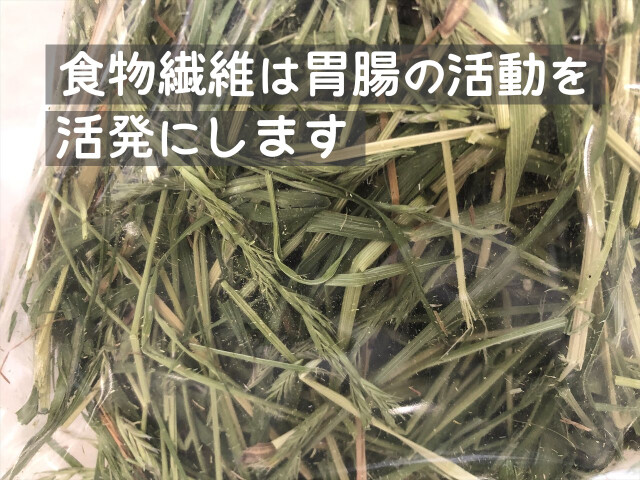 繊維質が多い牧草 うさぎ用
