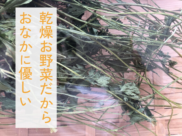 乾燥イタリアンパセリ