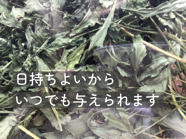 乾燥イタリアンパセリ