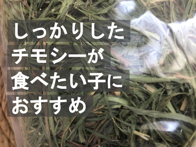 ワイルドチモシー