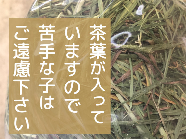 ワイルドチモシー