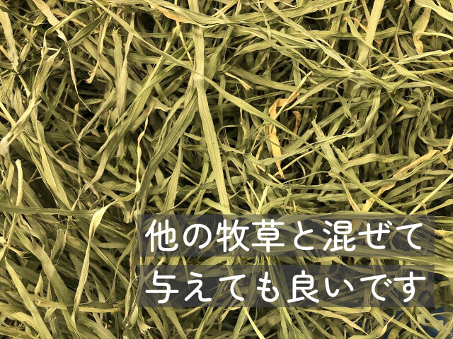 大麦若葉